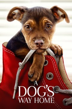 A Dog's Way Home