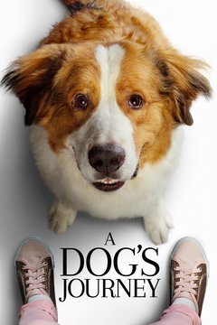 A Dog's Journey