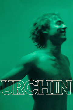 Urchin